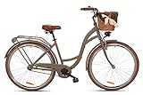 Goetze Bicicleta De Ciudad Retro Vintage Holandesa Para Mujer, Ruedas De Aluminio De 28 Pulgadas, 1 Marcha, Freno De Contrapedal, Entrada Profunda, Cesta Con Acolchado Gratis.
